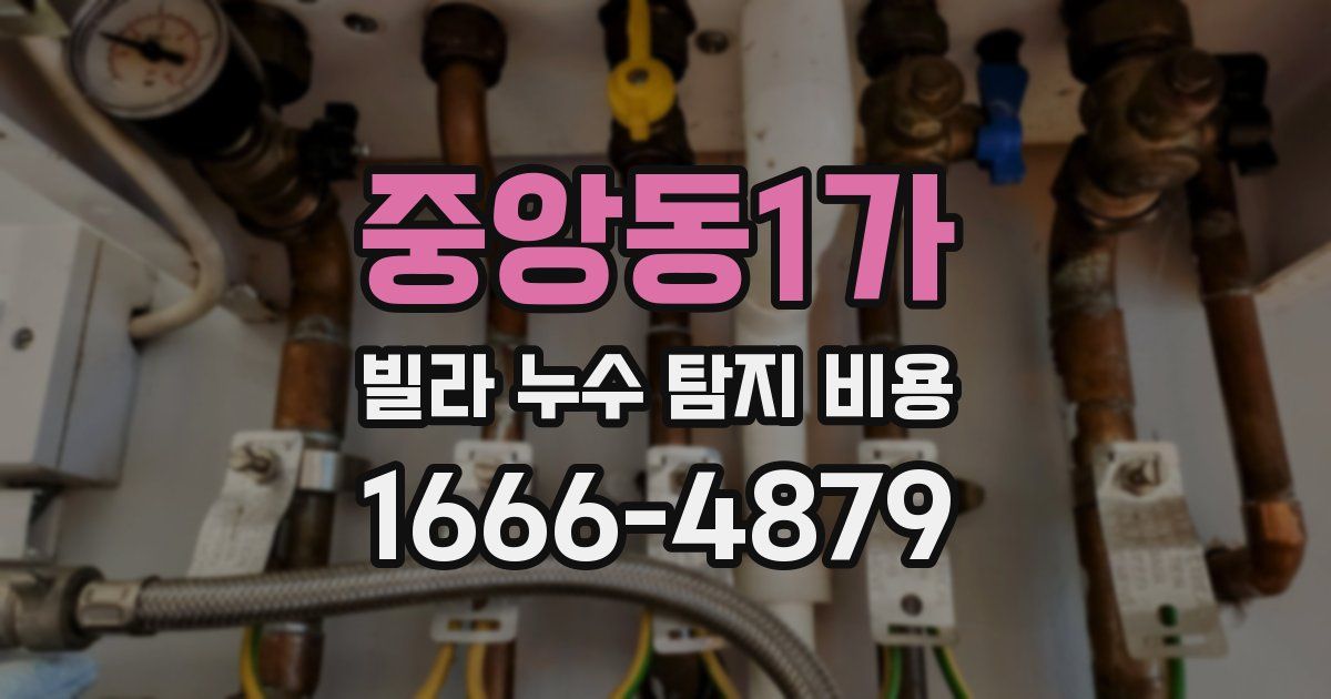 중앙동1가 빌라 누수 탐지 비용