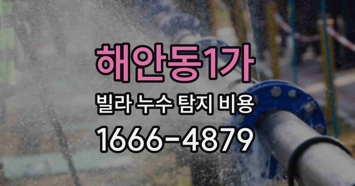 해안동1가 빌라 누수 탐지 비용