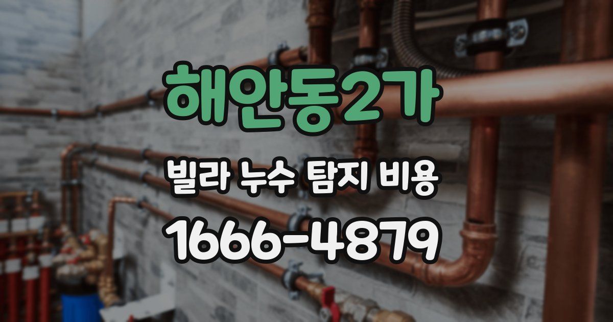 해안동2가 빌라 누수 탐지 비용