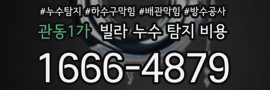 관동1가 빌라 누수 탐지 비용