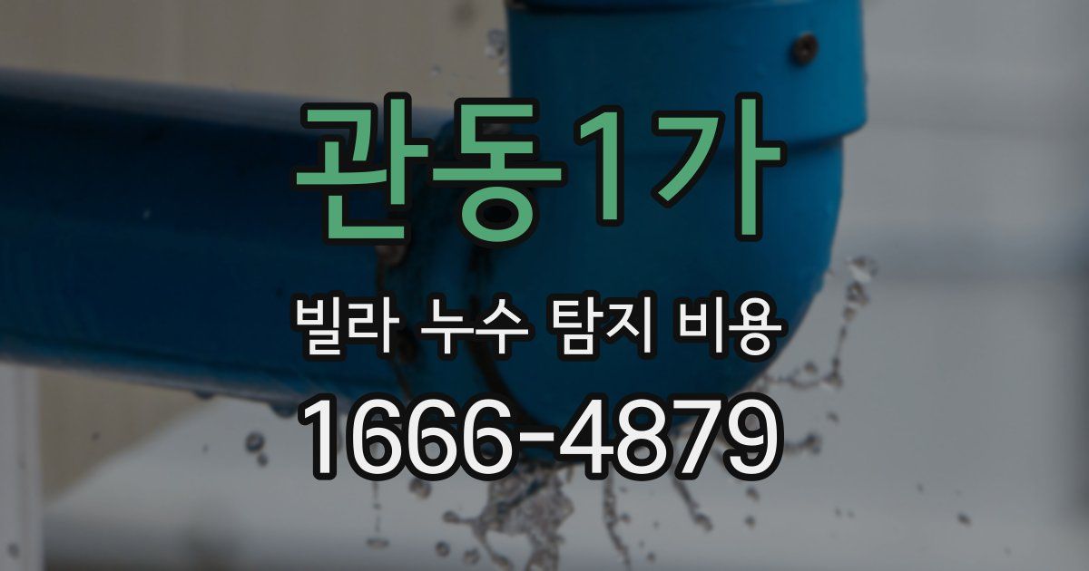 관동1가 빌라 누수 탐지 비용