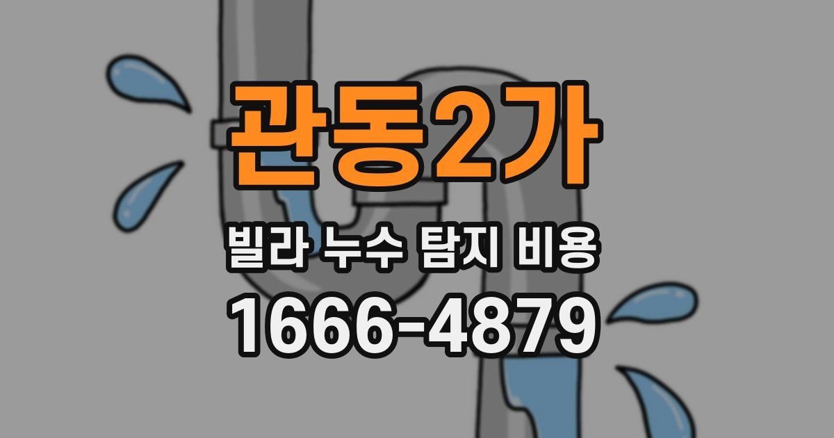 관동2가 빌라 누수 탐지 비용