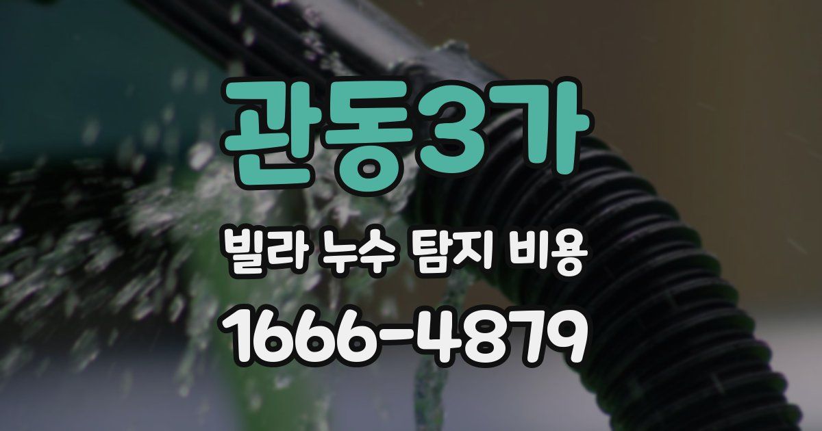 관동3가 빌라 누수 탐지 비용