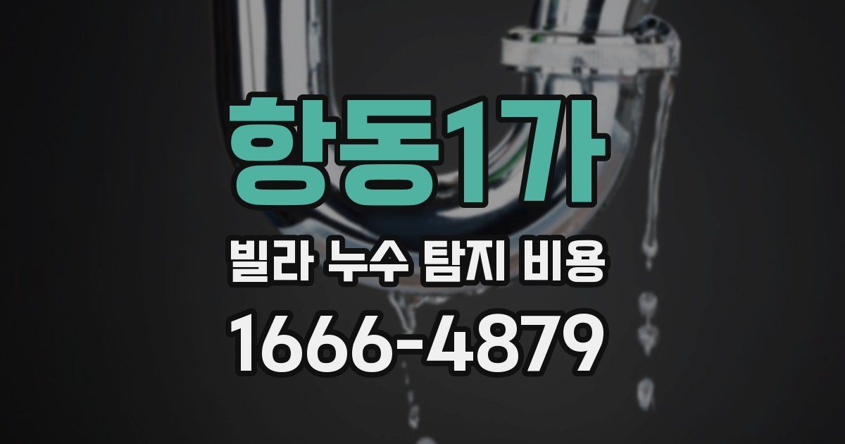 항동1가 빌라 누수 탐지 비용