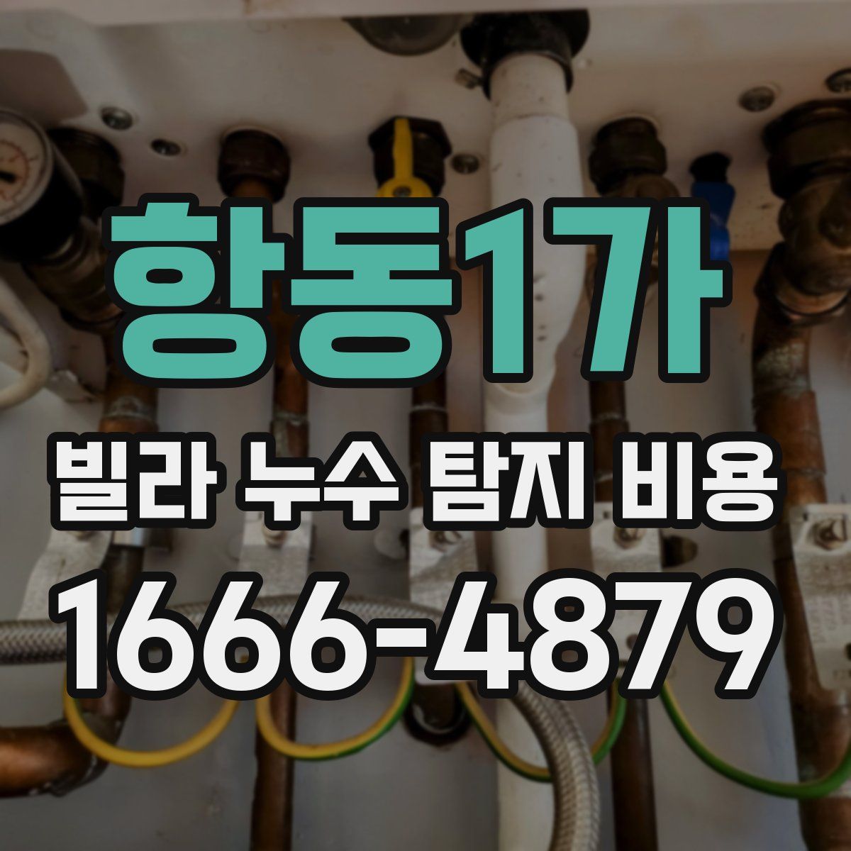 항동1가 빌라 누수 탐지 비용
