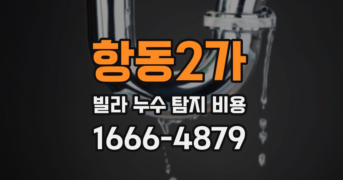 항동2가 빌라 누수 탐지 비용