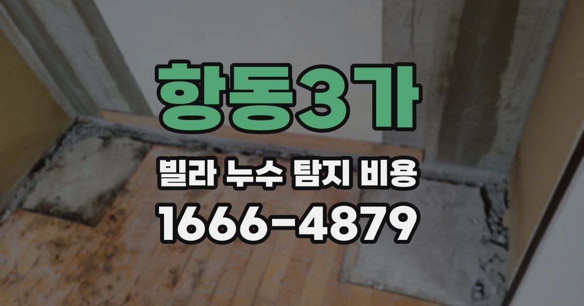 항동3가 빌라 누수 탐지 비용