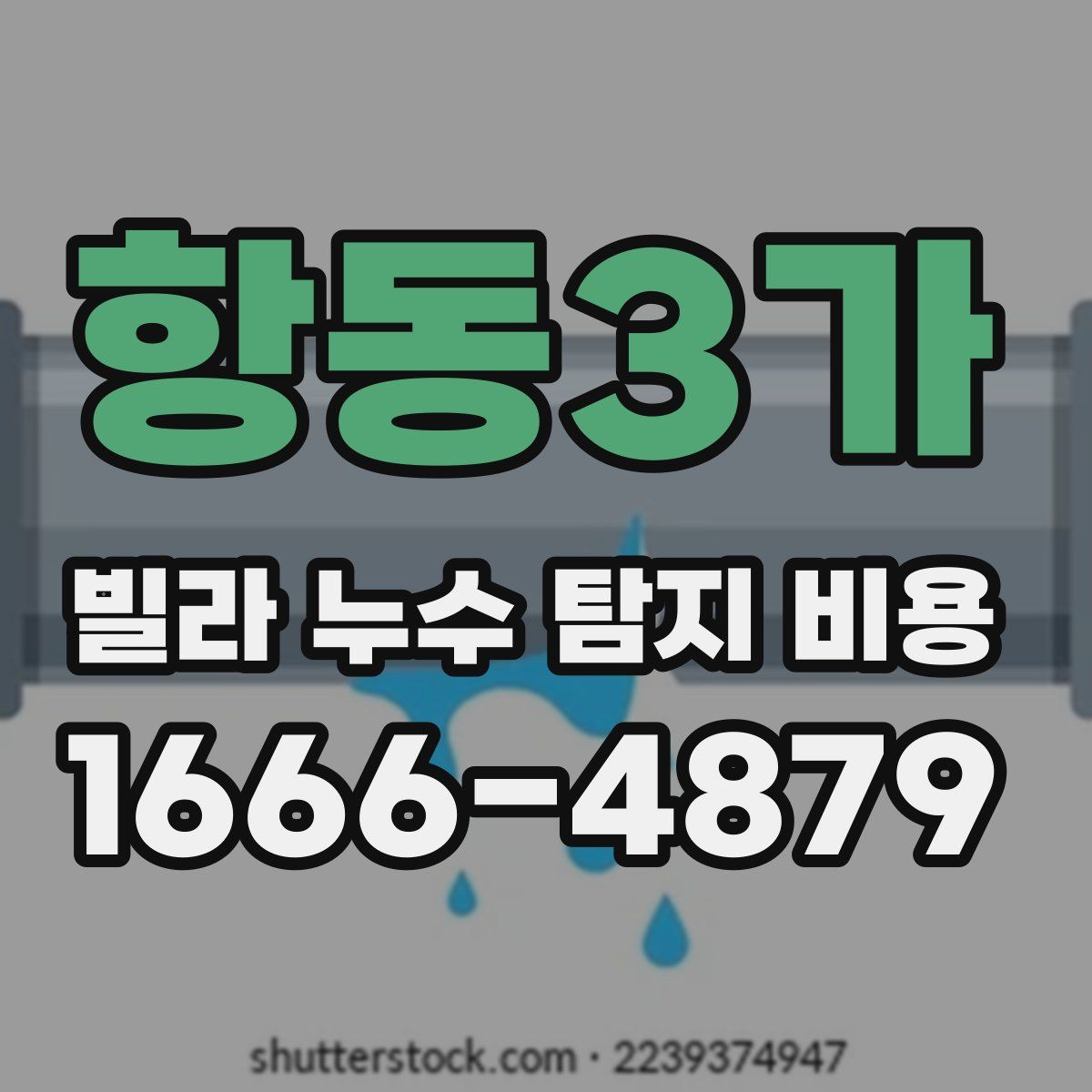 항동3가 빌라 누수 탐지 비용