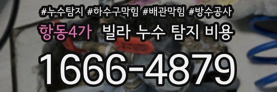 항동4가 빌라 누수 탐지 비용