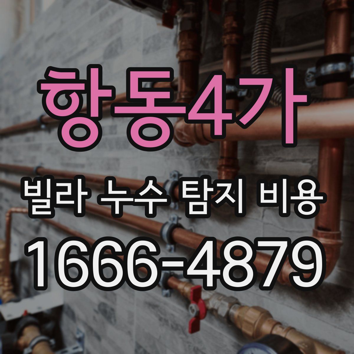항동4가 빌라 누수 탐지 비용
