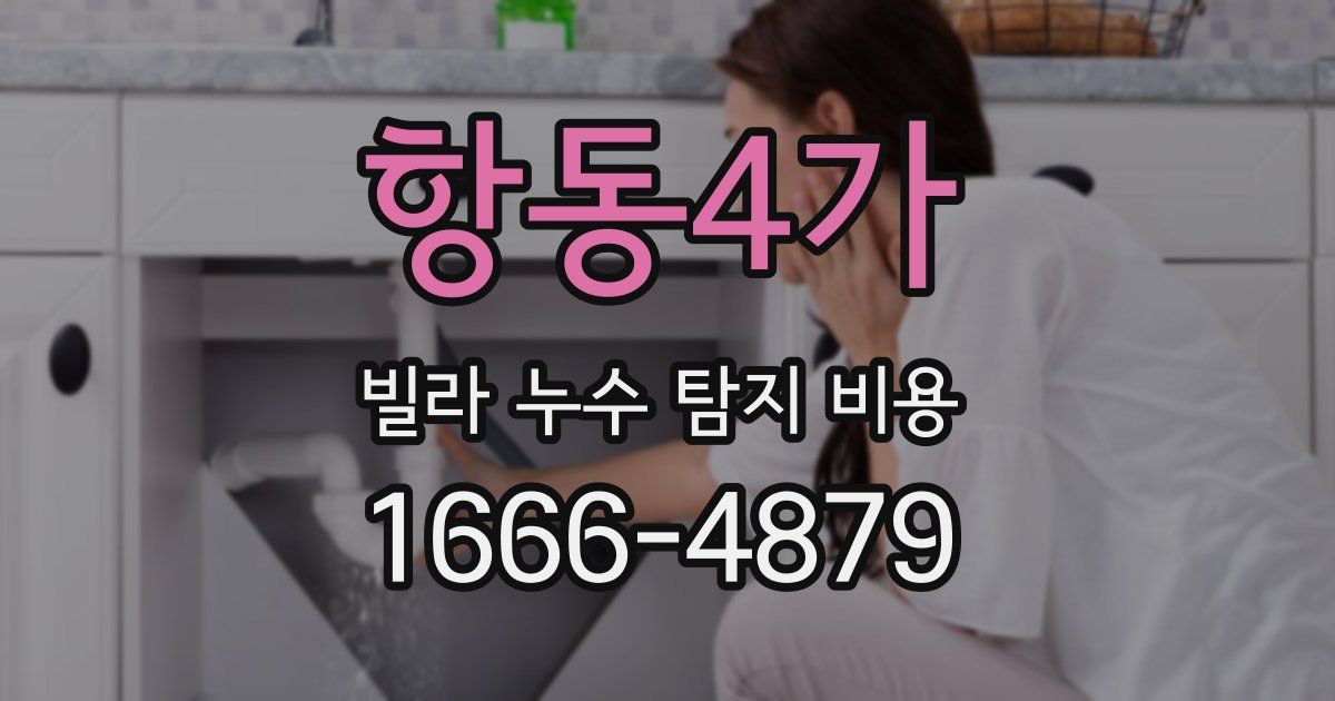 항동4가 빌라 누수 탐지 비용