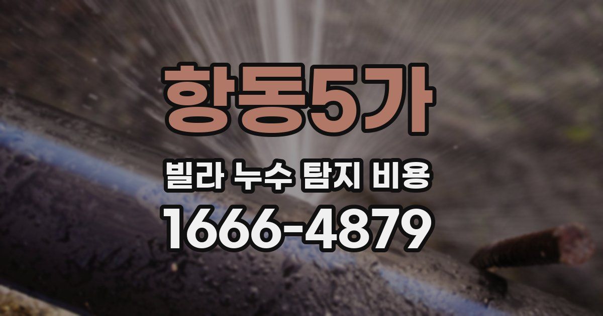 항동5가 빌라 누수 탐지 비용