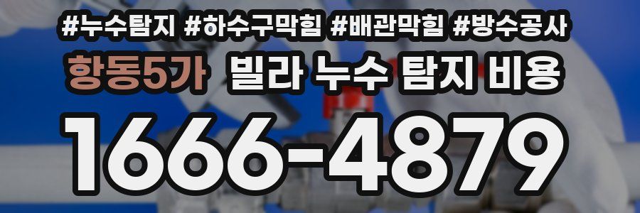 항동5가 빌라 누수 탐지 비용