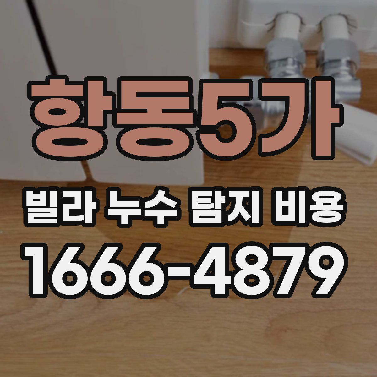 항동5가 빌라 누수 탐지 비용