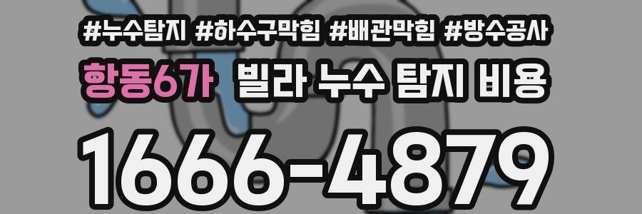 항동6가 빌라 누수 탐지 비용