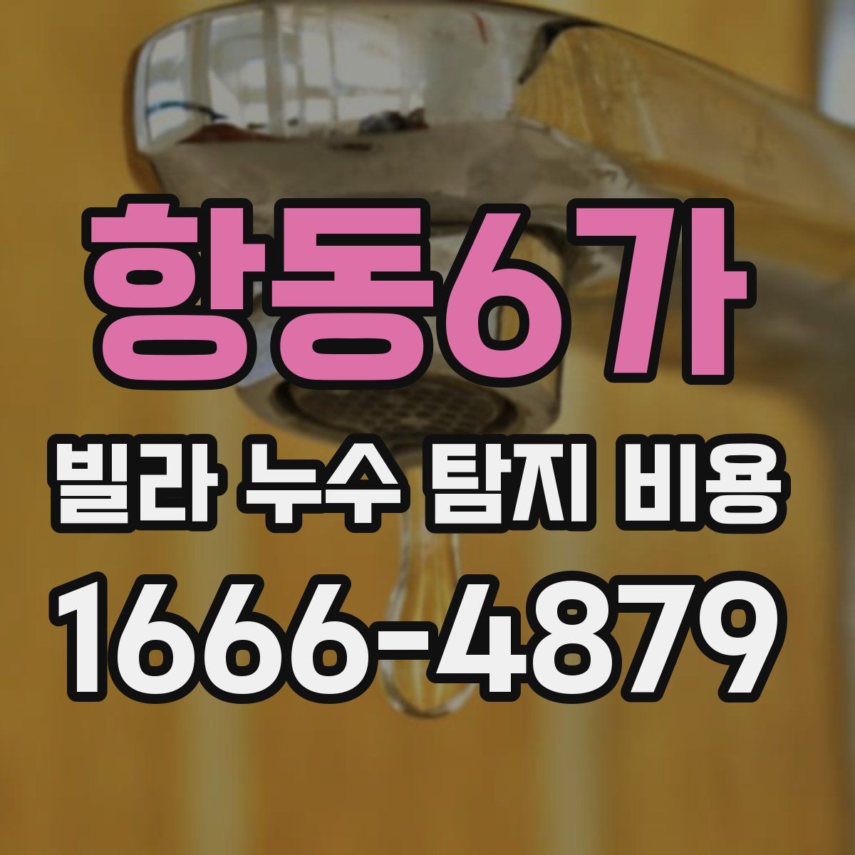 항동6가 빌라 누수 탐지 비용