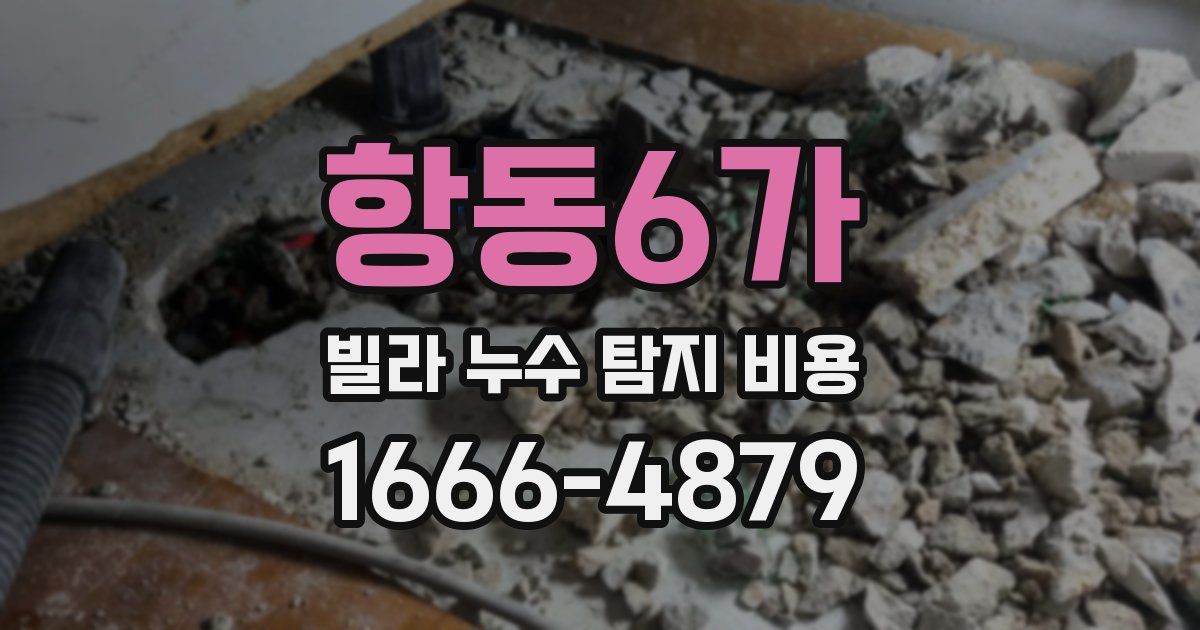 항동6가 빌라 누수 탐지 비용