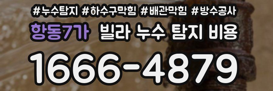 항동7가 빌라 누수 탐지 비용