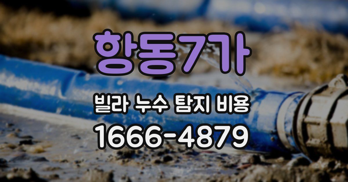 항동7가 빌라 누수 탐지 비용