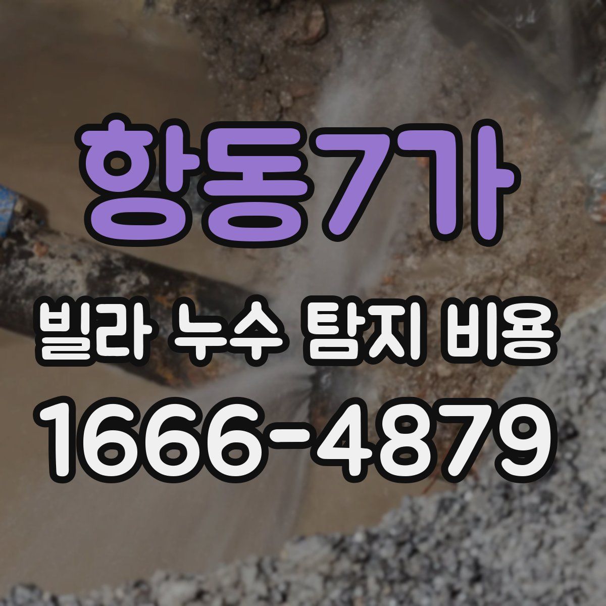 항동7가 빌라 누수 탐지 비용