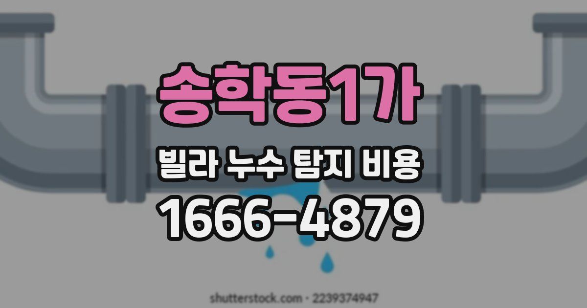 송학동1가 빌라 누수 탐지 비용