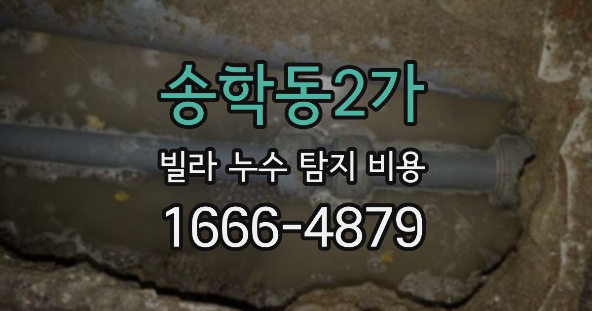 송학동2가 빌라 누수 탐지 비용