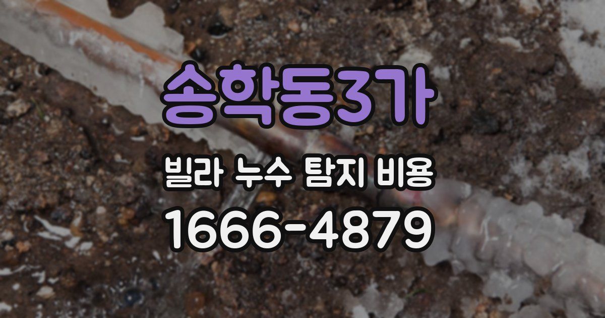 송학동3가 빌라 누수 탐지 비용
