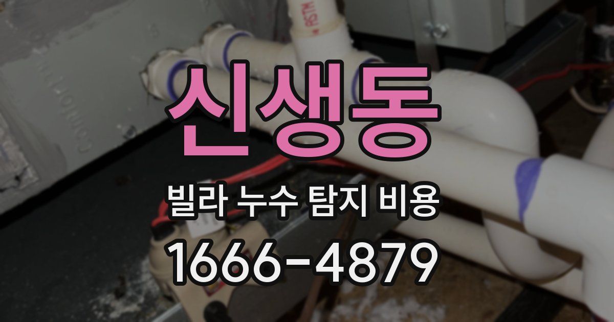 신생동 빌라 누수 탐지 비용