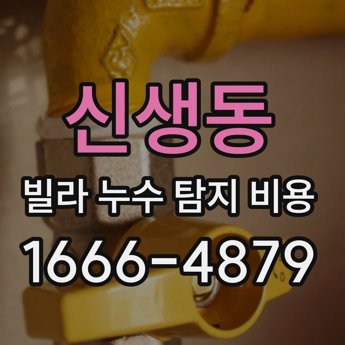 신생동 빌라 누수 탐지 비용