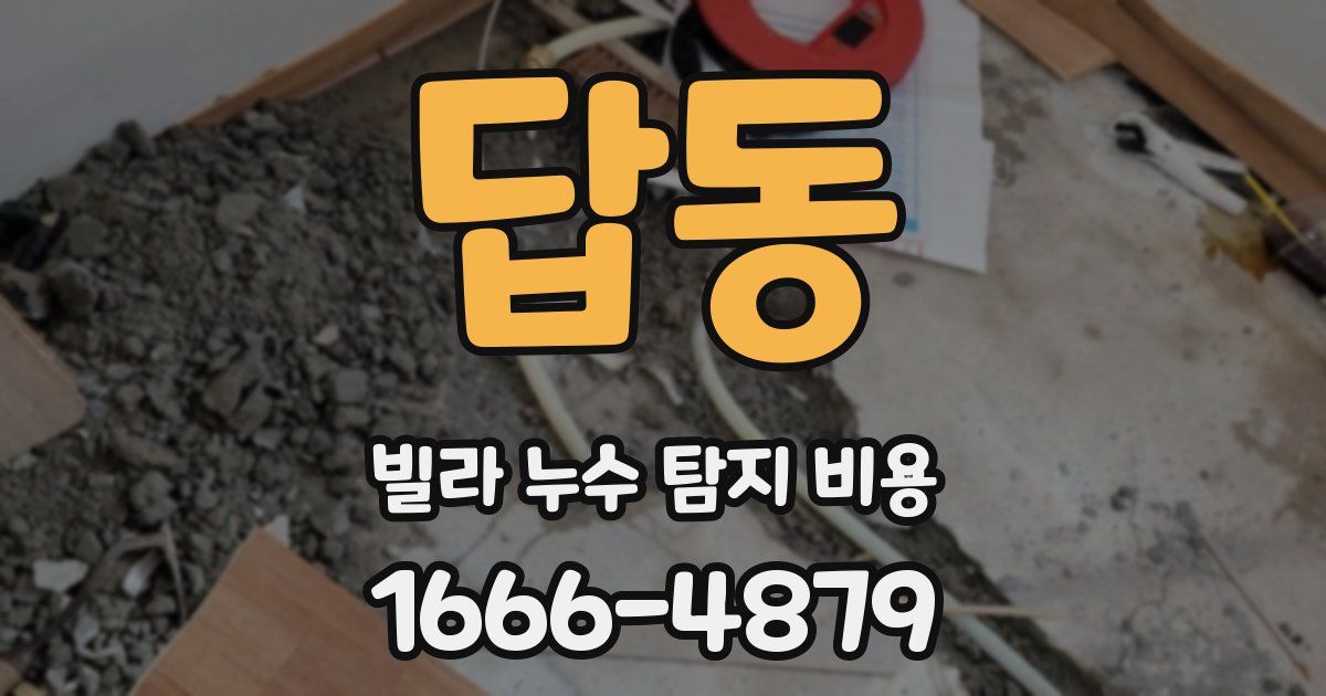 답동 빌라 누수 탐지 비용