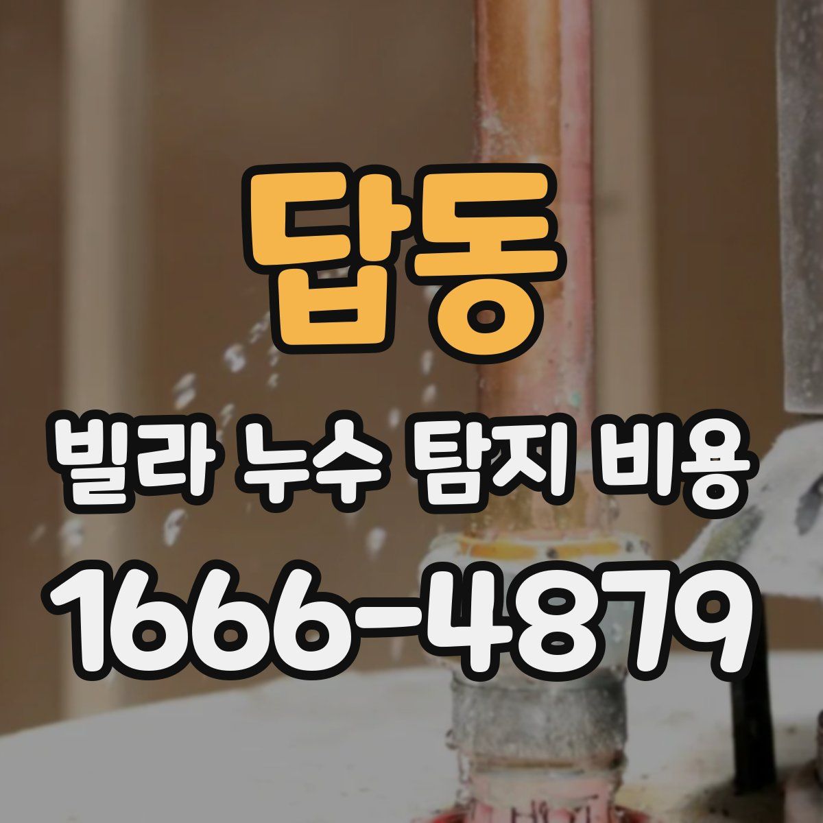 답동 빌라 누수 탐지 비용
