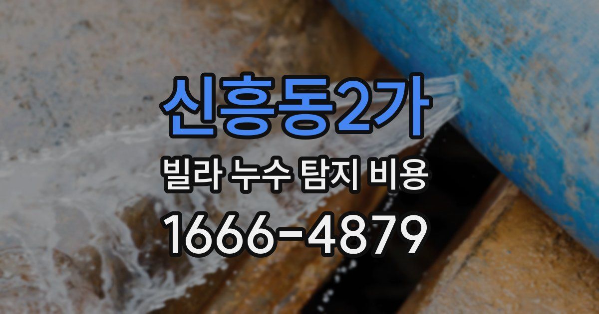 신흥동2가 빌라 누수 탐지 비용