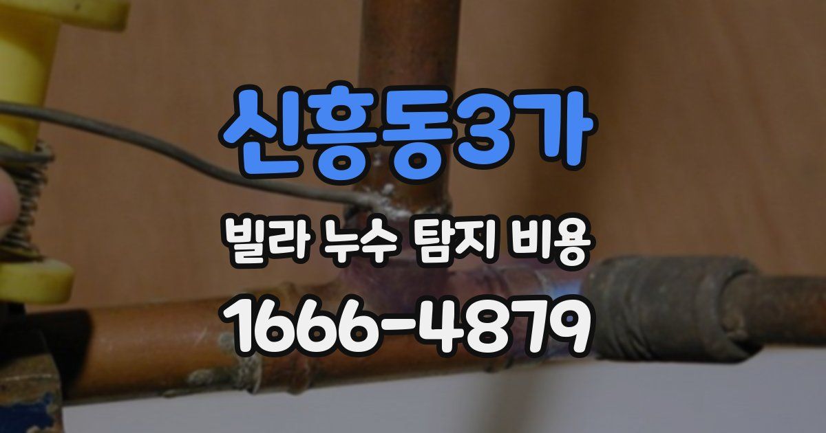 신흥동3가 빌라 누수 탐지 비용