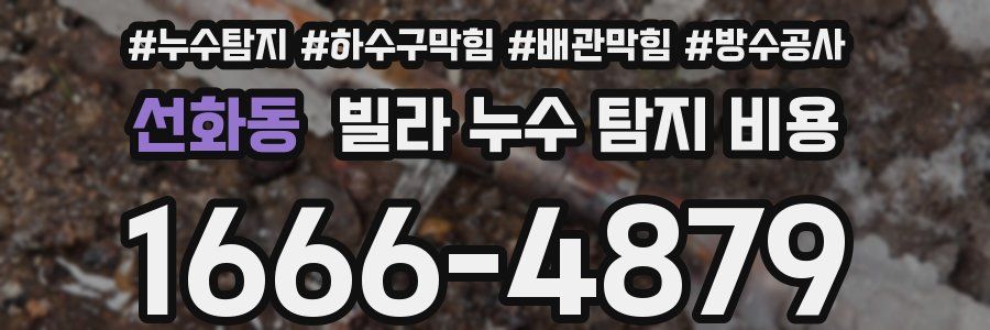 선화동 빌라 누수 탐지 비용