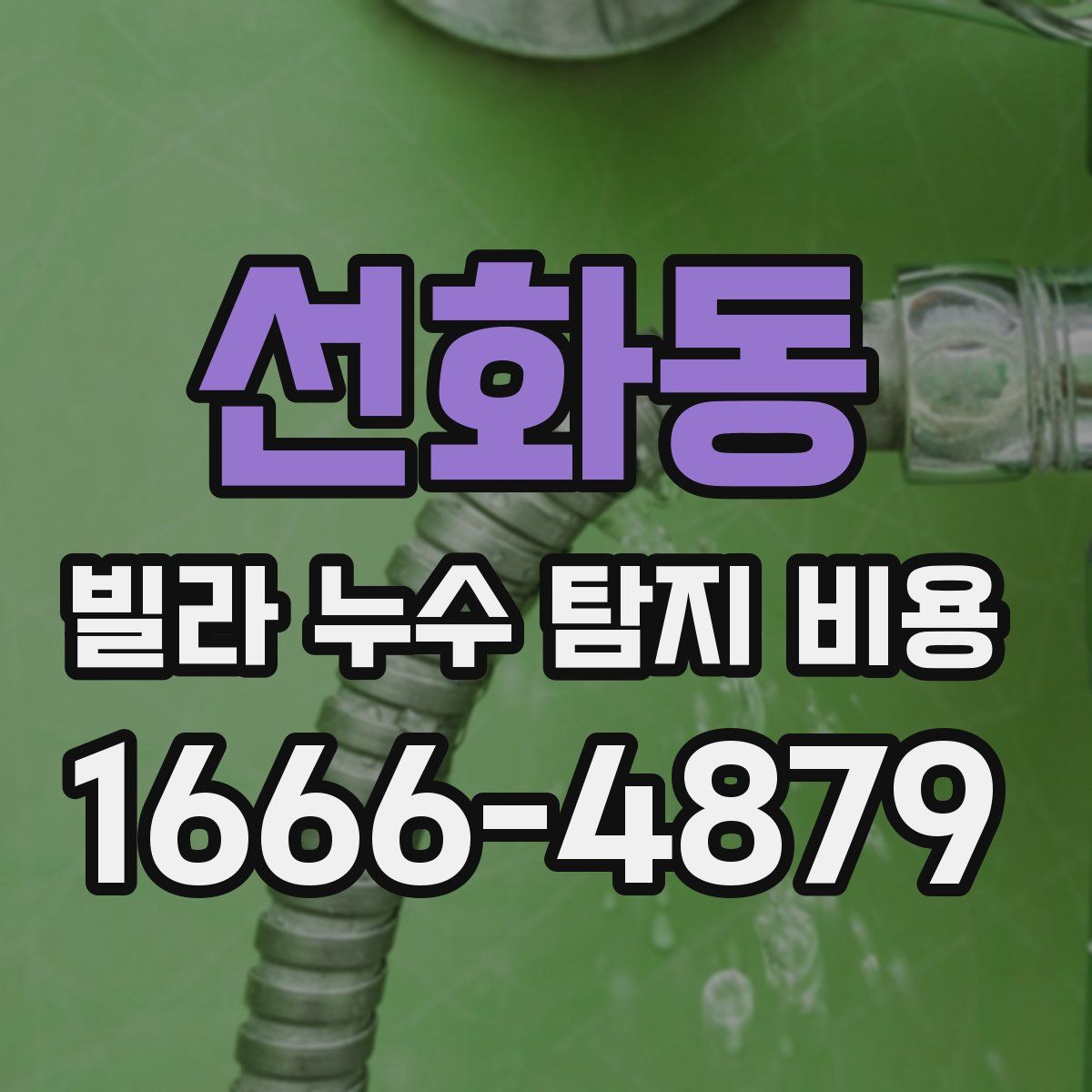 선화동 빌라 누수 탐지 비용