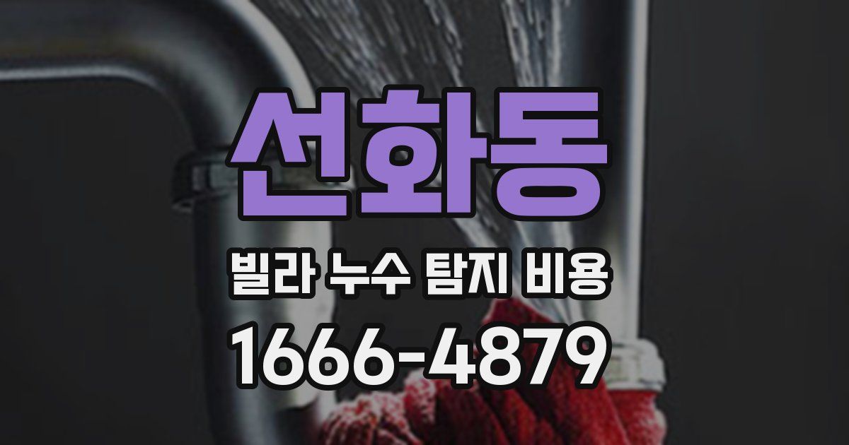 선화동 빌라 누수 탐지 비용