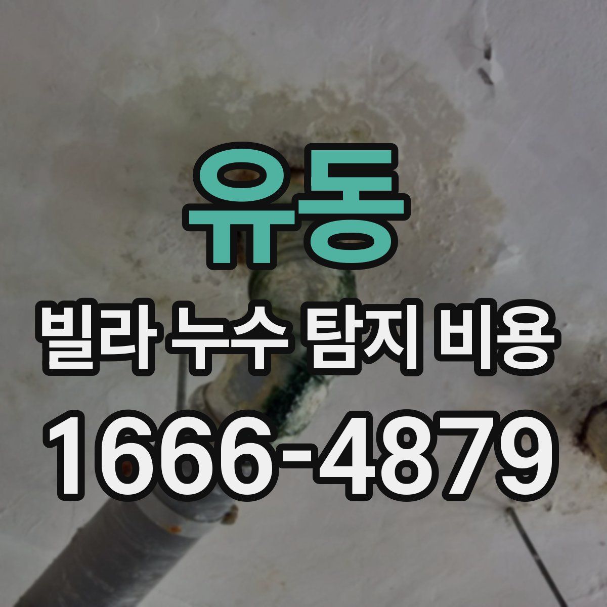 유동 빌라 누수 탐지 비용