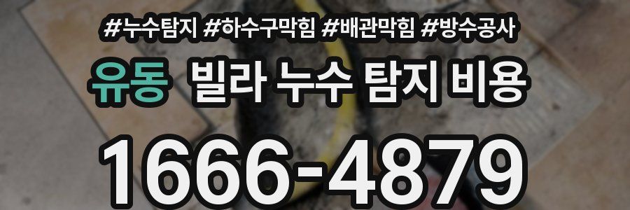 유동 빌라 누수 탐지 비용