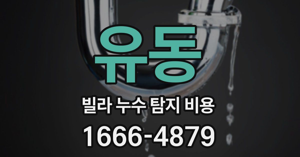 유동 빌라 누수 탐지 비용