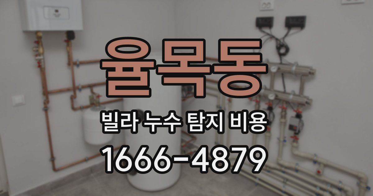 율목동 빌라 누수 탐지 비용