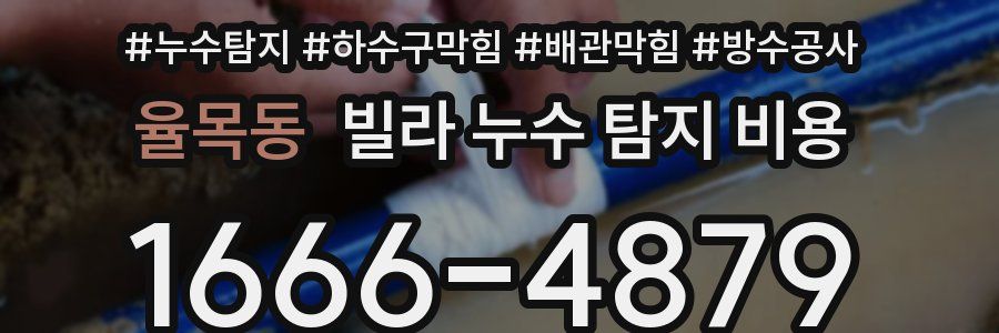 율목동 빌라 누수 탐지 비용