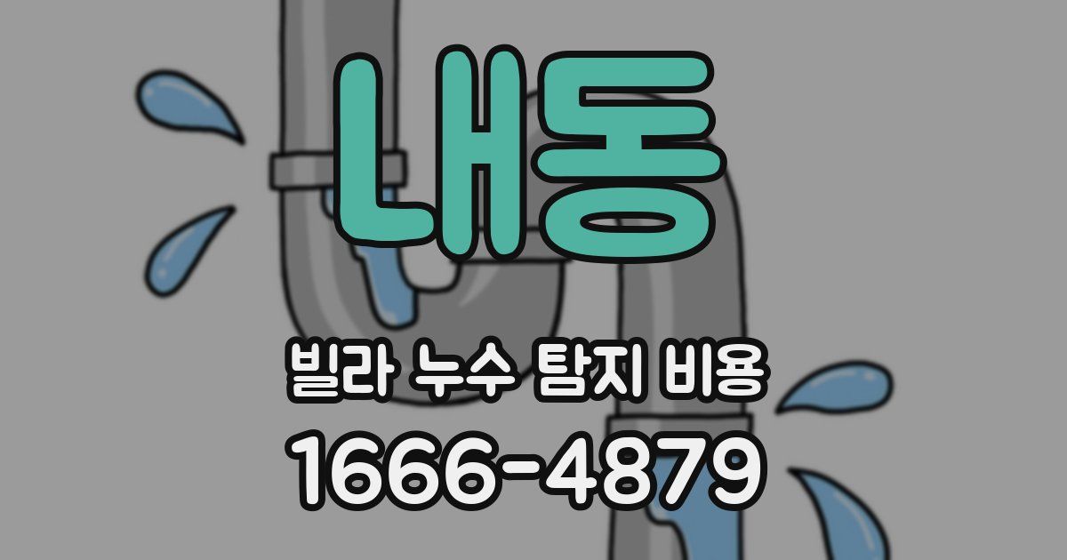 내동 빌라 누수 탐지 비용