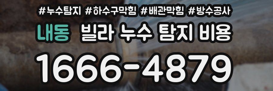 내동 빌라 누수 탐지 비용