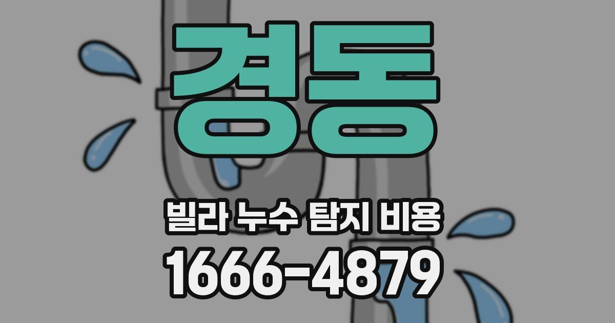 경동 빌라 누수 탐지 비용