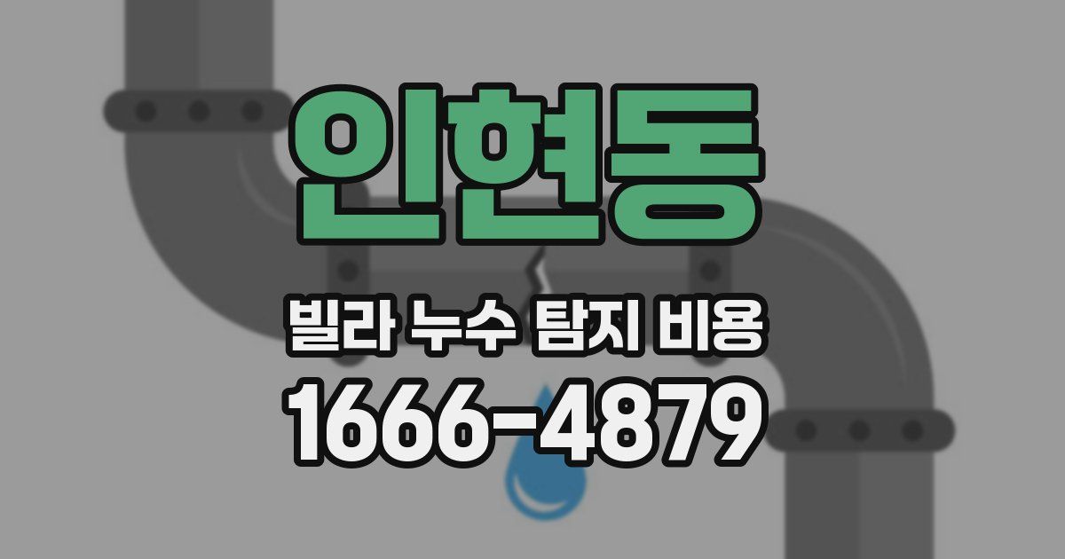 인현동 빌라 누수 탐지 비용
