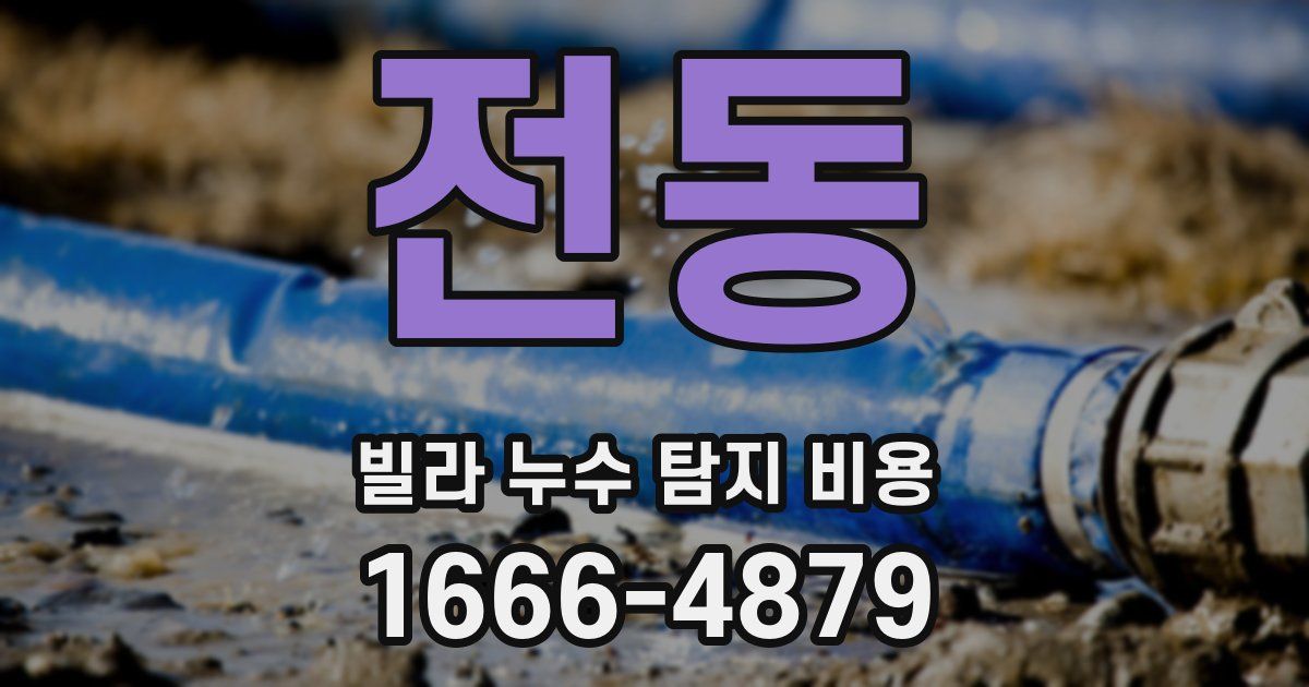전동 빌라 누수 탐지 비용