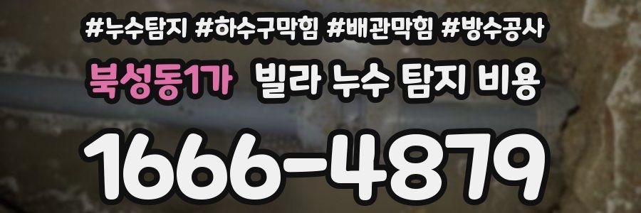 북성동1가 빌라 누수 탐지 비용