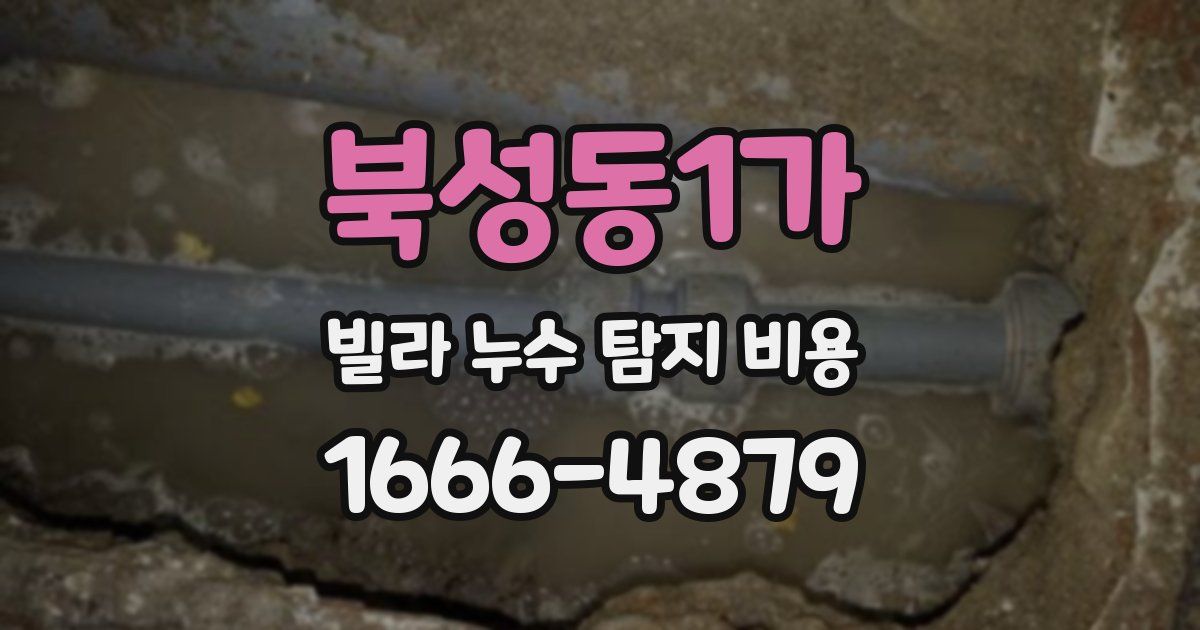 북성동1가 빌라 누수 탐지 비용