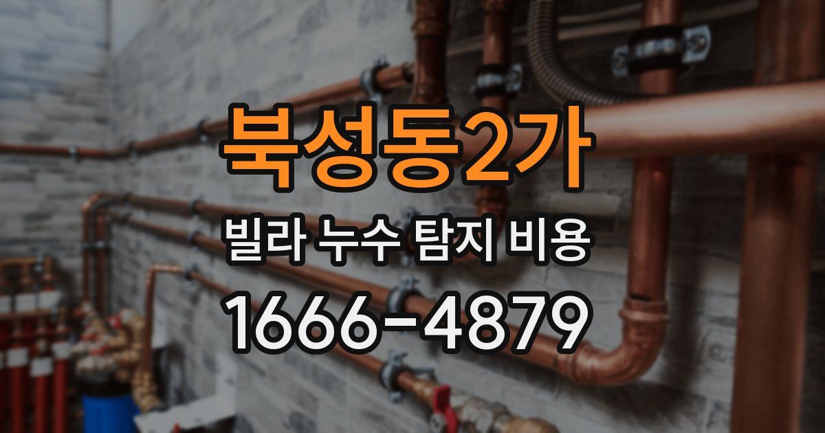 북성동2가 빌라 누수 탐지 비용