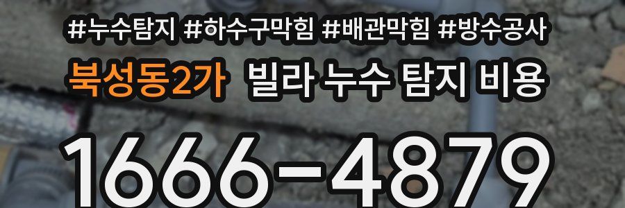 북성동2가 빌라 누수 탐지 비용